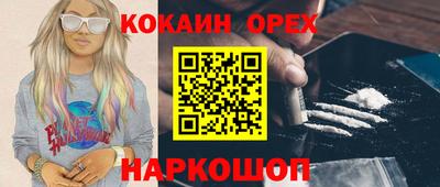 дживик Кандалакша