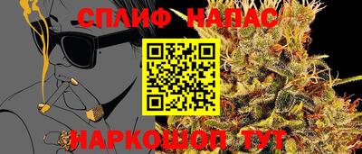 дживик Кандалакша