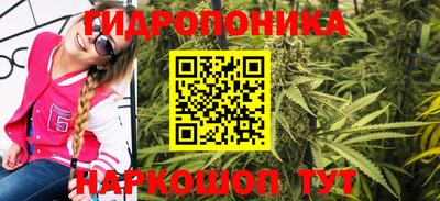 дживик Кандалакша