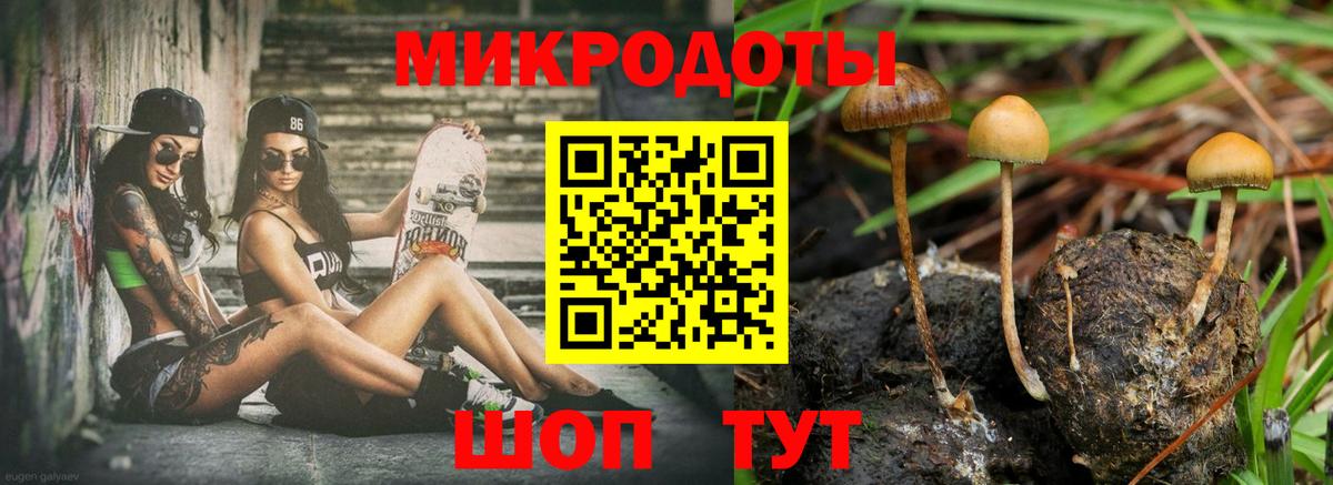 Кушва  Галлюциногенные грибы мухоморы  Вход с VPN 